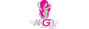 Angel Extensions Final Logo 2013